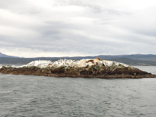 O que fazer em Ushuaia. Canal Beagle